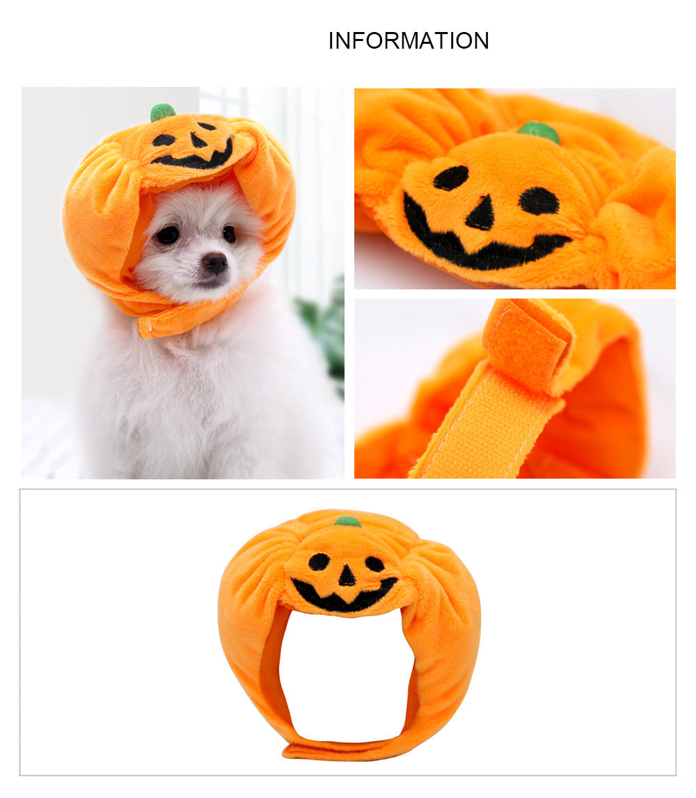 Pet cat dog pumpkin cat hat Halloween ghost festival decoration