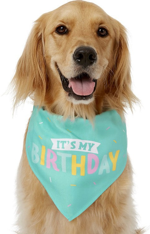 Pet Plush Toys Dog Birthday Gift