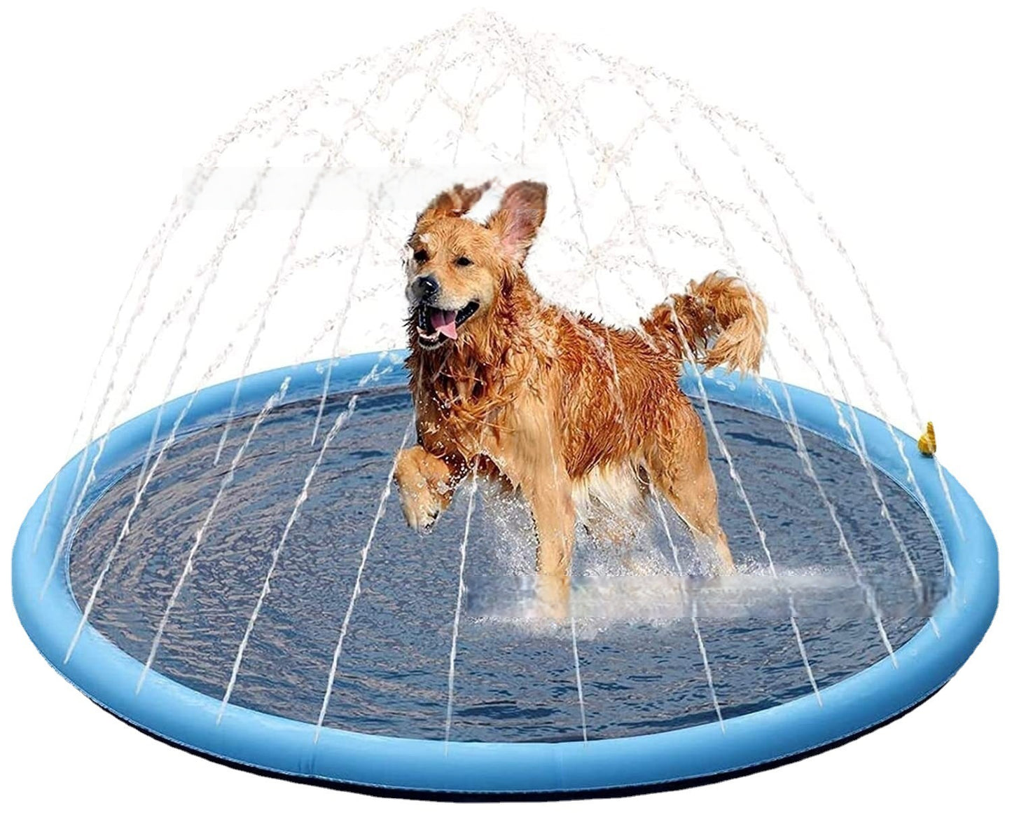 PVC pet spray pad non-slip