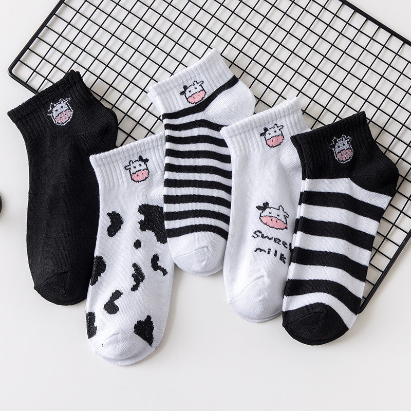Women's socks shallow mouth spring and autumn