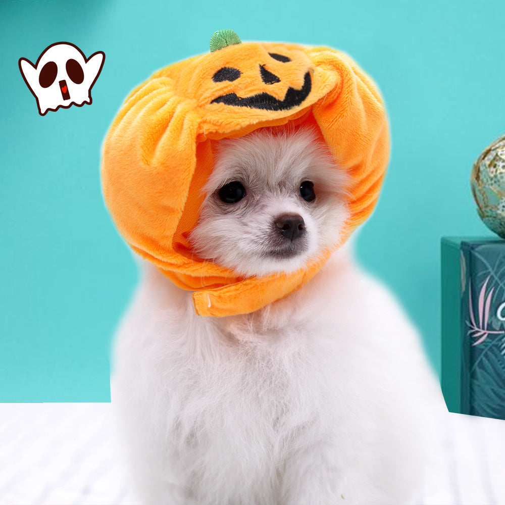 Pet cat dog pumpkin cat hat Halloween ghost festival decoration